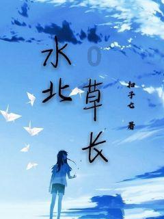 口袋森林世界杯防守战