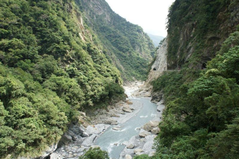 漂亮鹦鹉救援